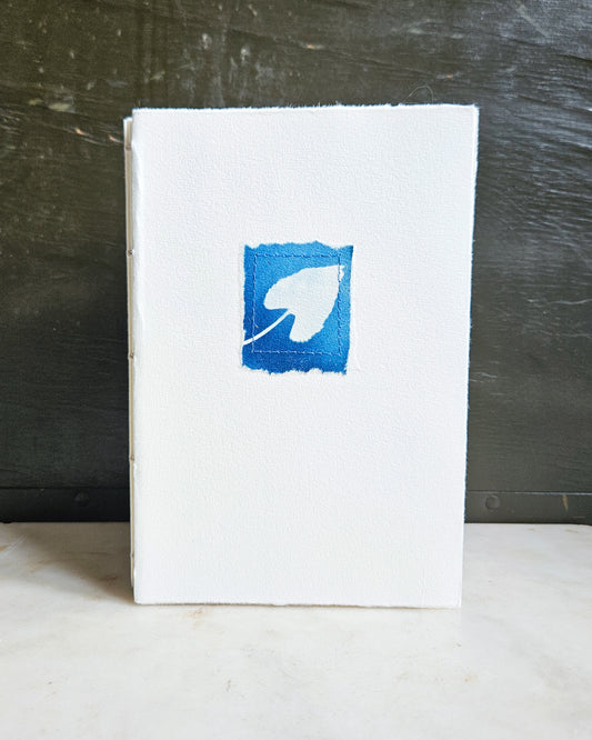 CYANOTYPE #8