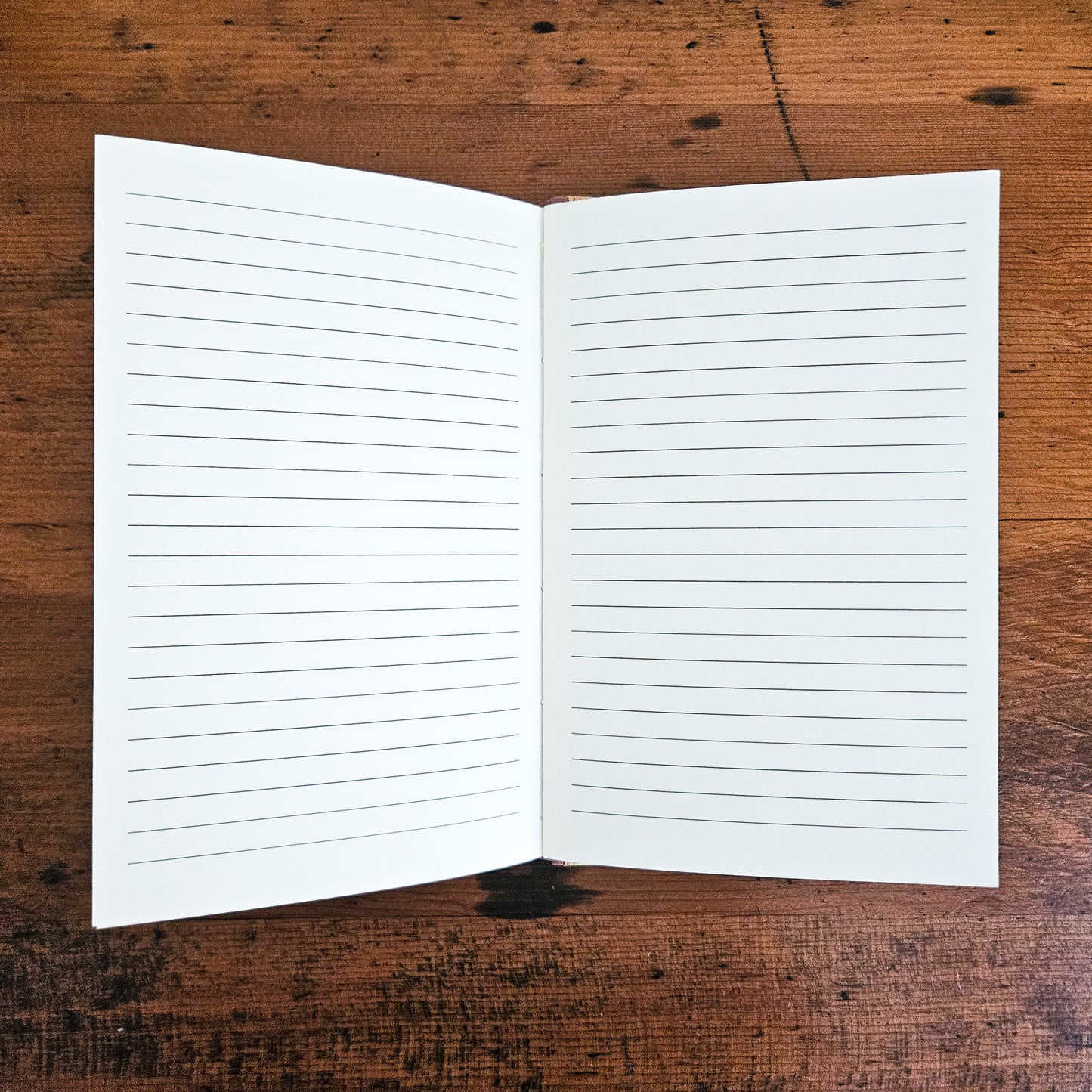 THE BEETLE AND HIS FRIEND