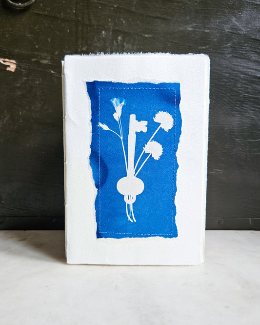 CYANOTYPE #4