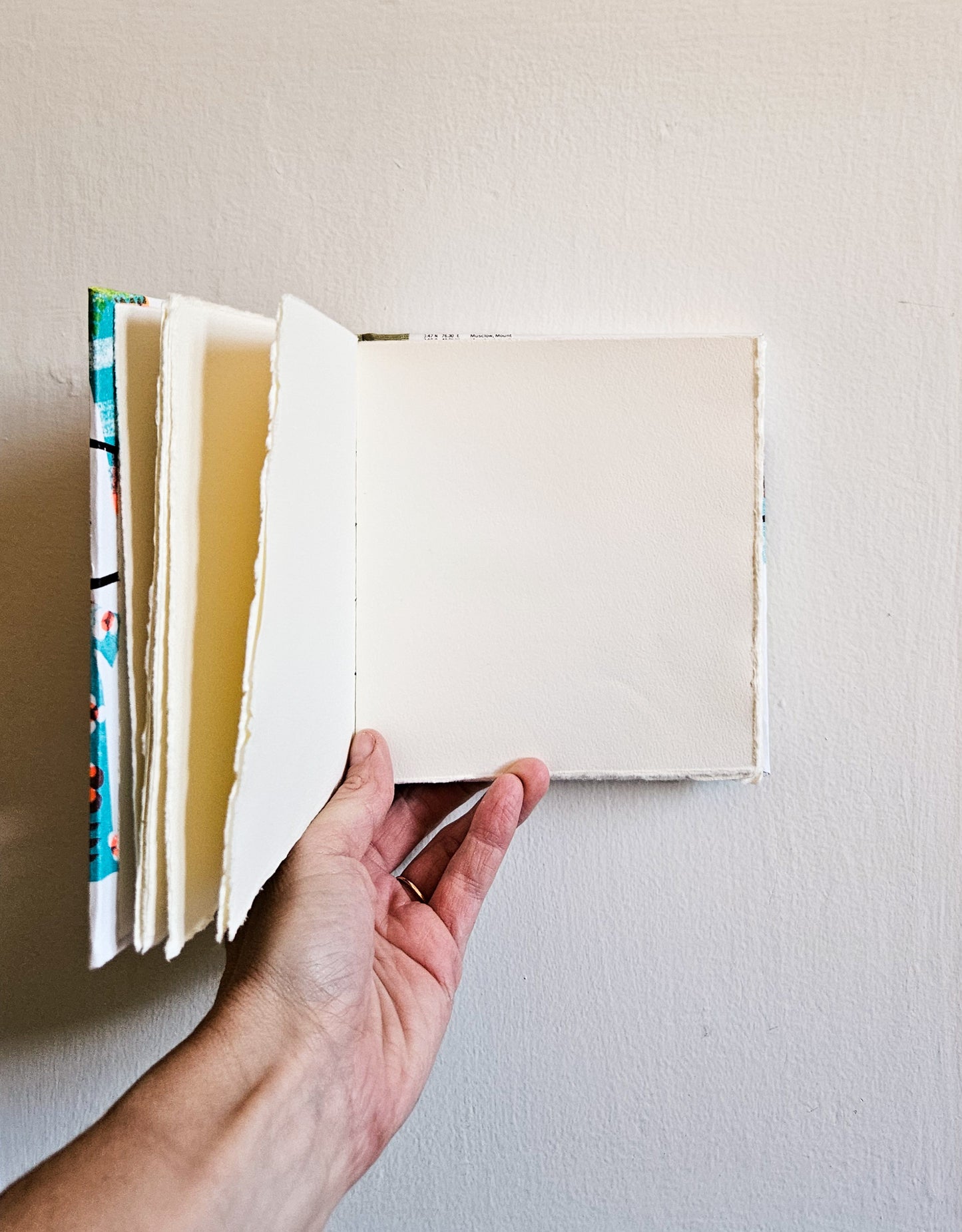 LAUNDRY LINE JOURNAL