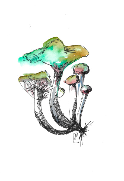 SOUCHETTE MUSHROOM