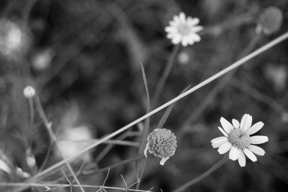 i used to teach yoga