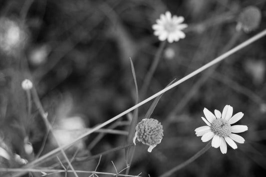 i used to teach yoga