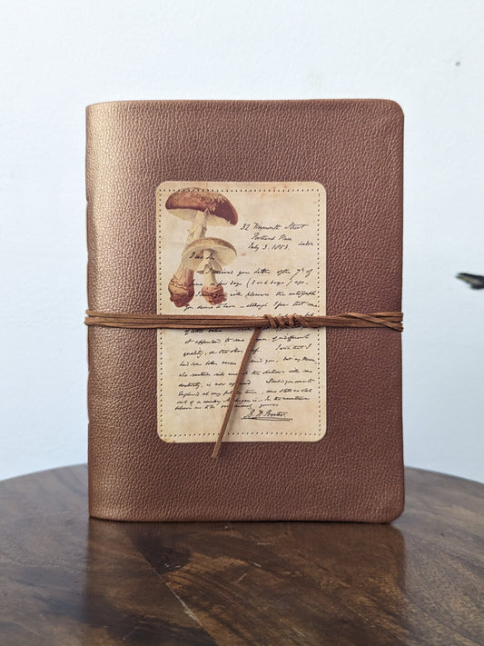 MUSHROOM EPISTLE JOURNAL