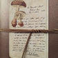 MUSHROOM EPISTLE JOURNAL