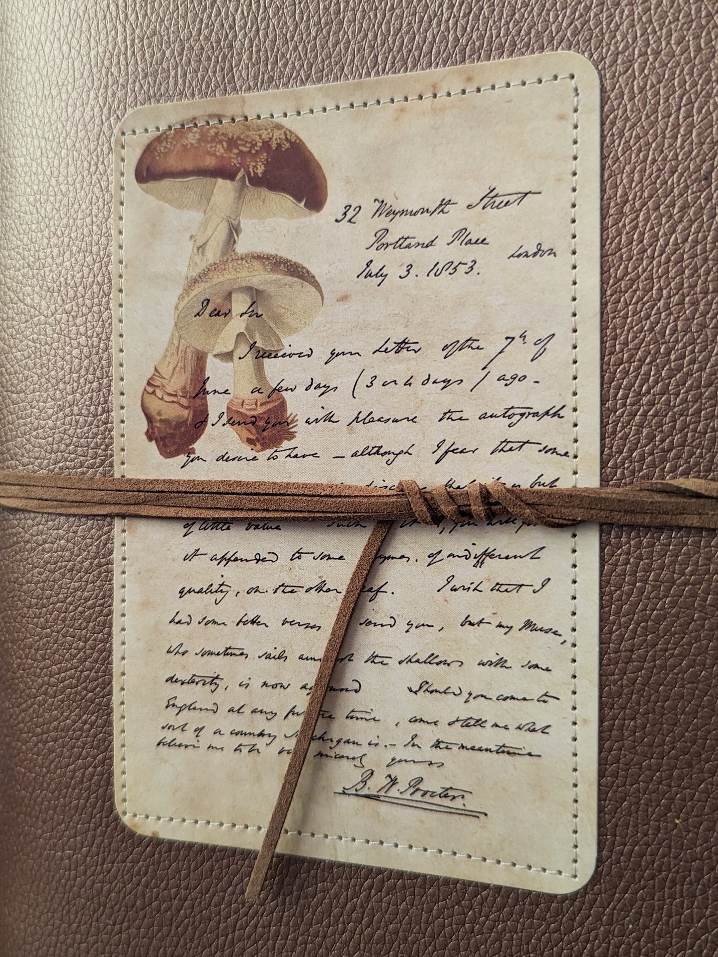 MUSHROOM EPISTLE JOURNAL