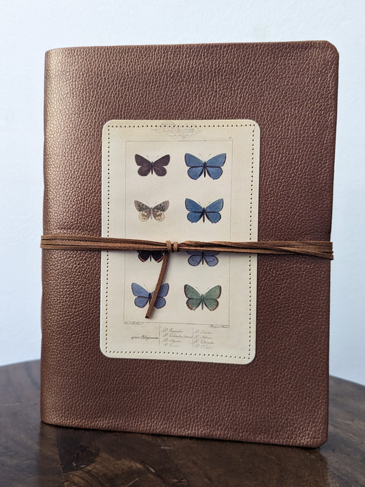 BUTTERFLY COLLECTION JOURNAL