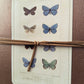 BUTTERFLY COLLECTION JOURNAL