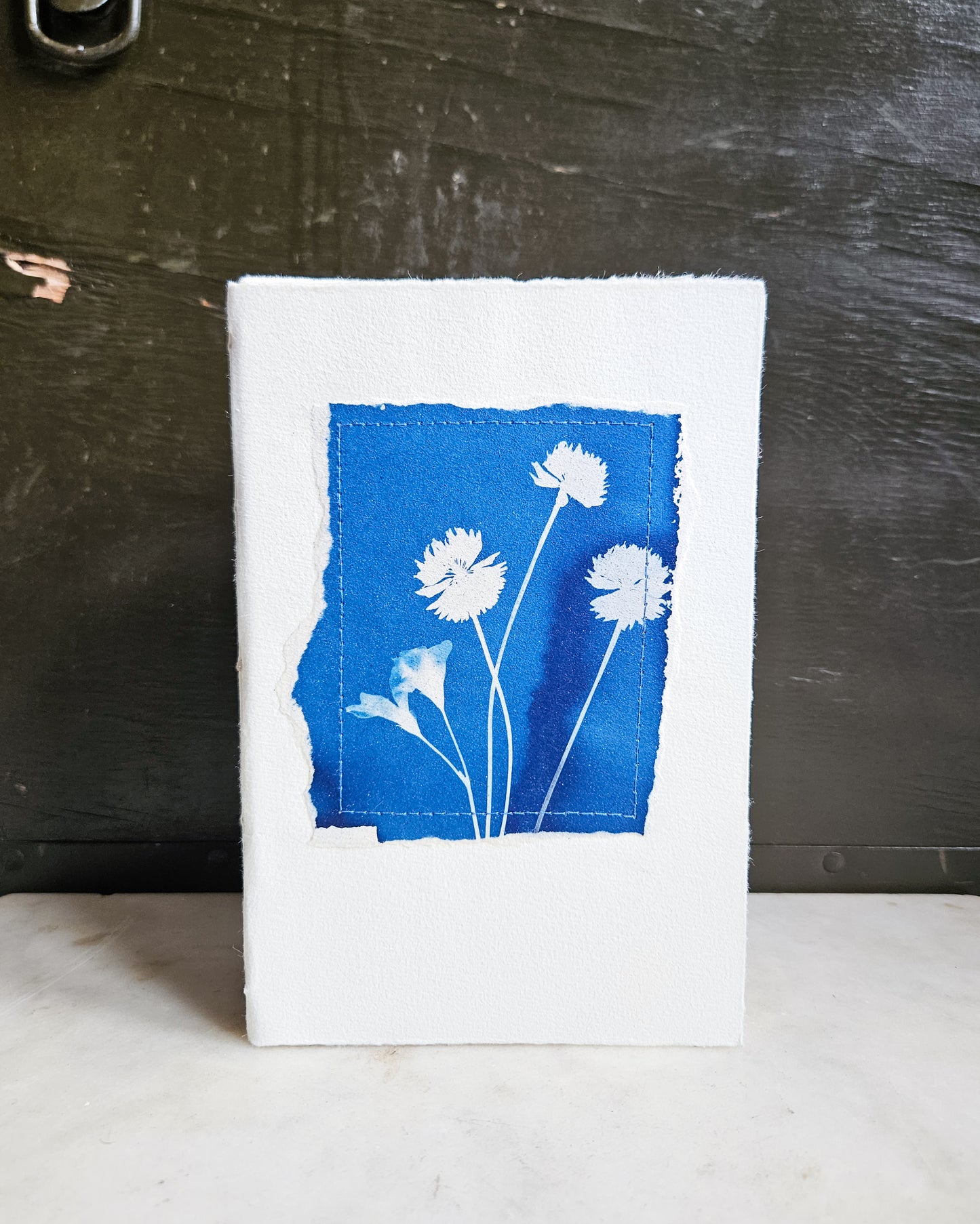 CYANOTYPE #12