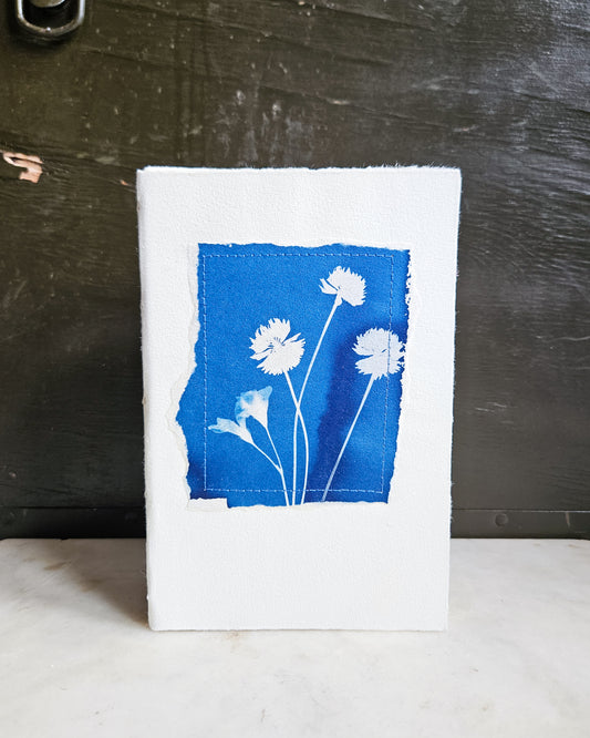 CYANOTYPE #12