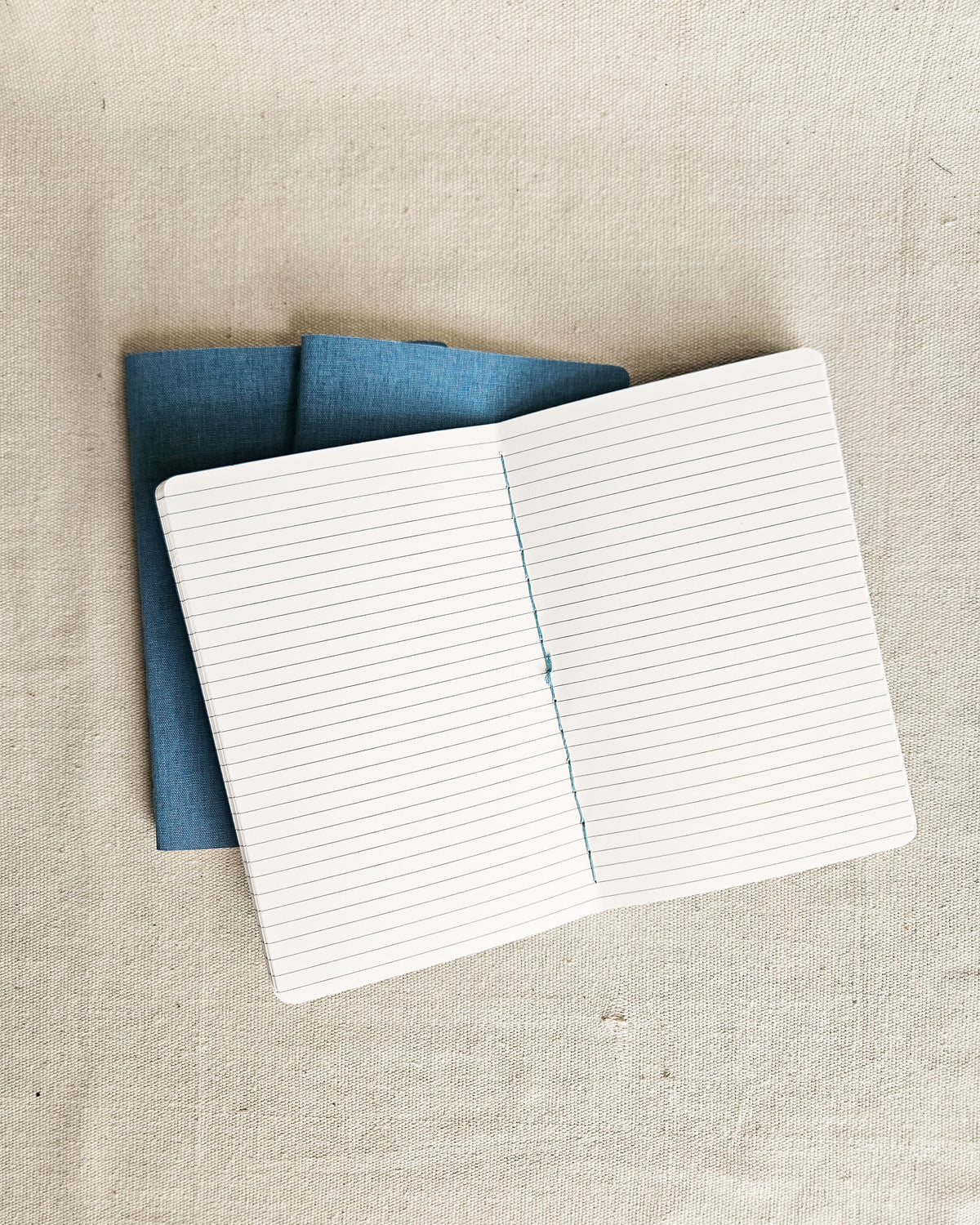 ROBIN BLUE JOURNAL