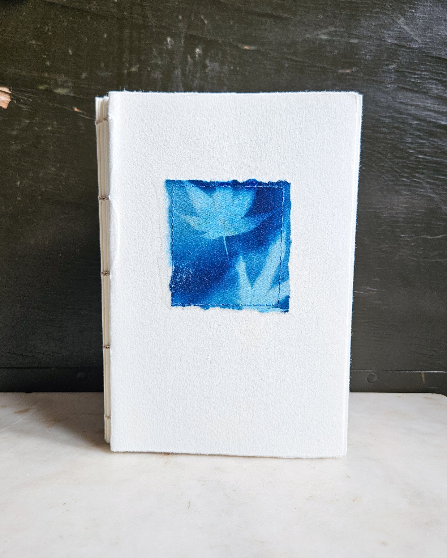 CYANOTYPE #5