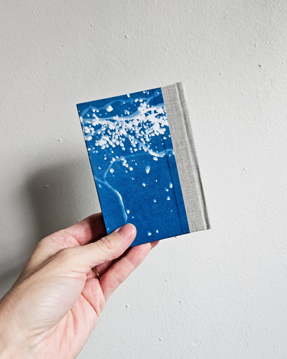CYANOTYPE #2