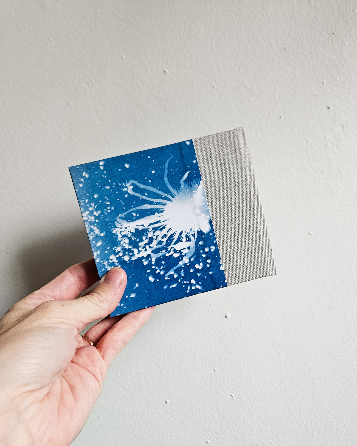 CYANOTYPE #3