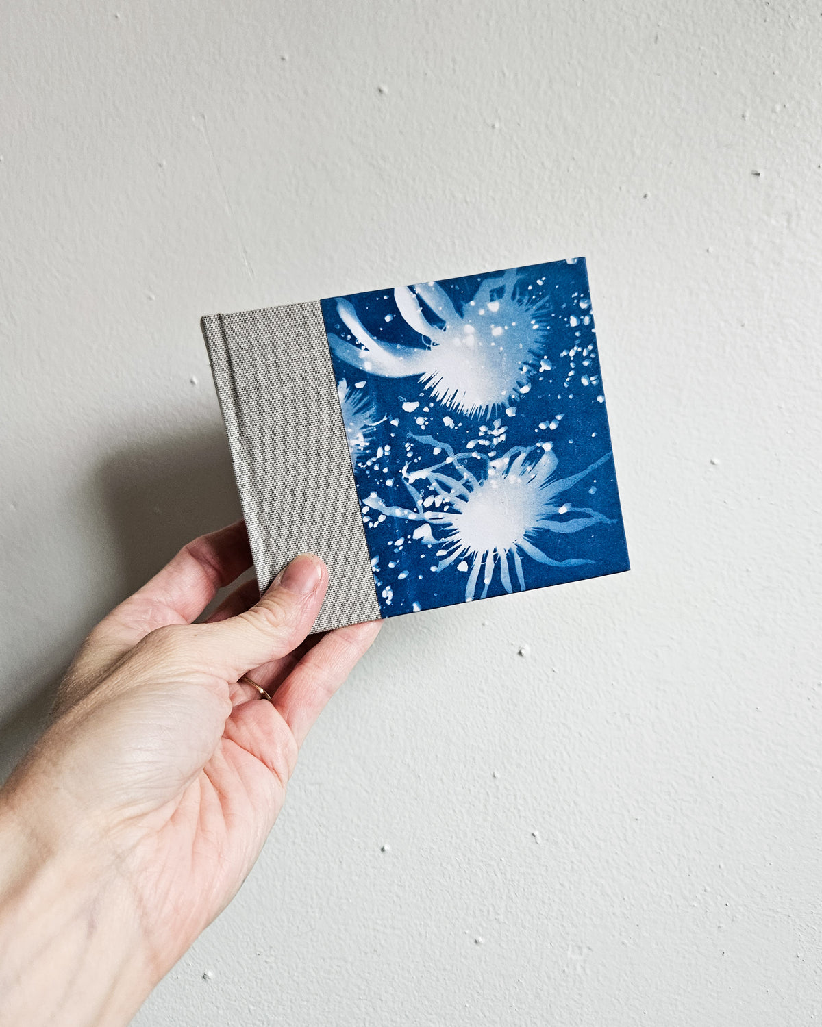 CYANOTYPE #3