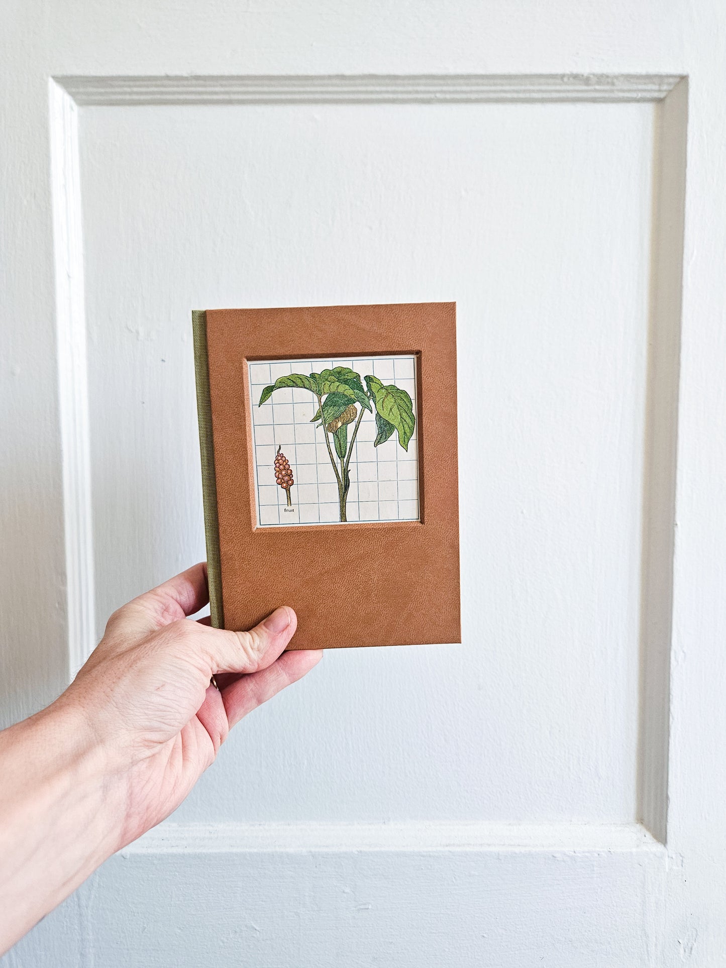 INDIAN TURNIP JOURNAL