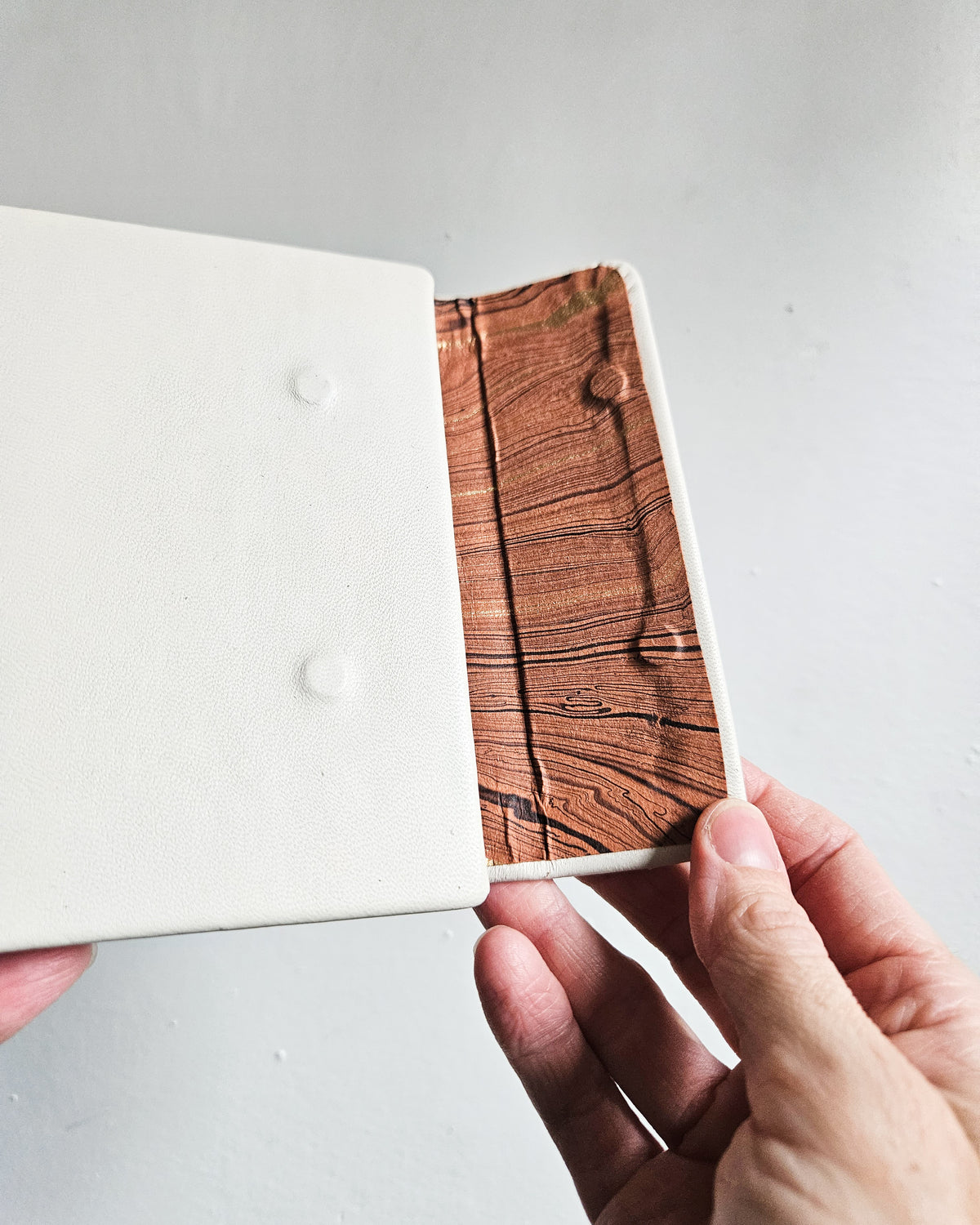 HERE CHICKIE CHICKIE JOURNAL