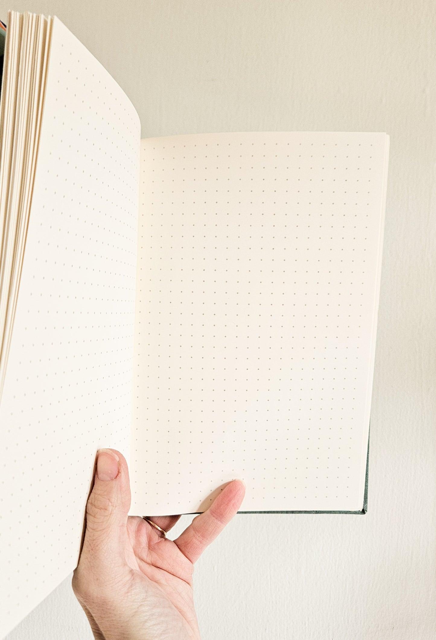 GOOSE AND THE LADYBUG JOURNAL