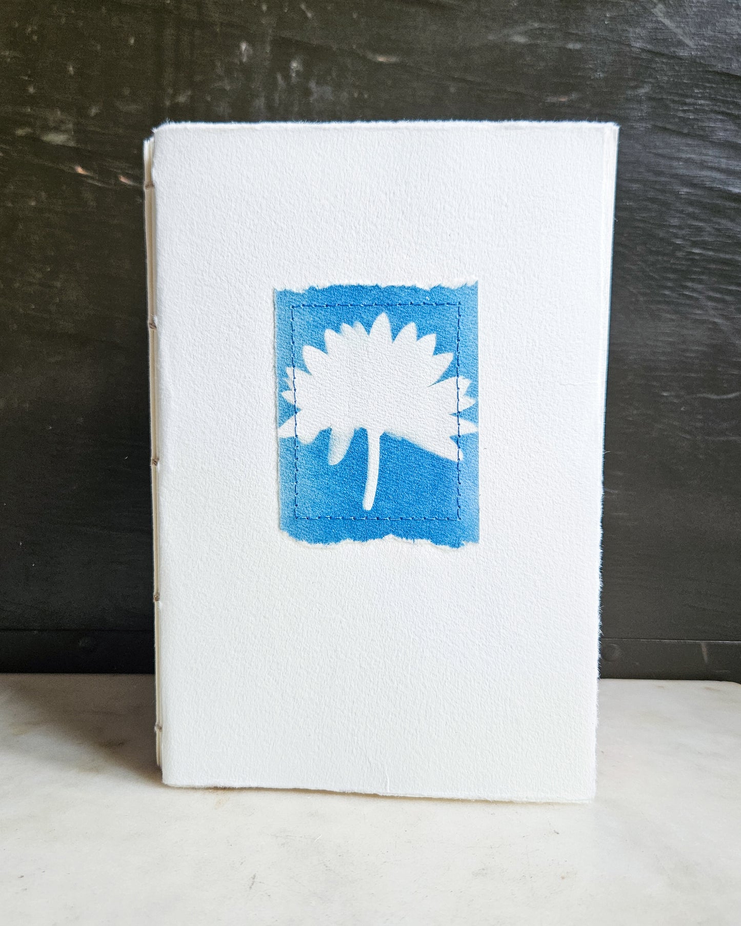 CYANOTYPE #6