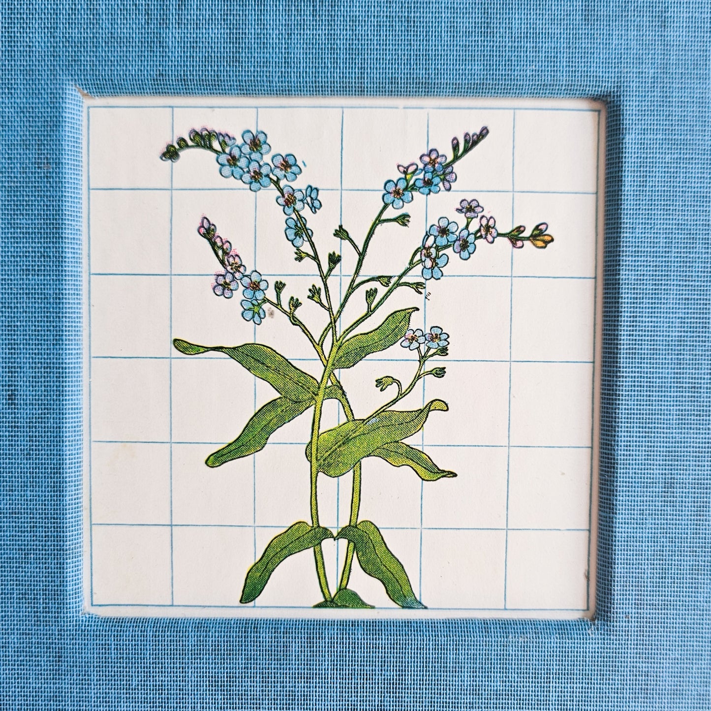 FORGET-ME-NOT JOURNAL