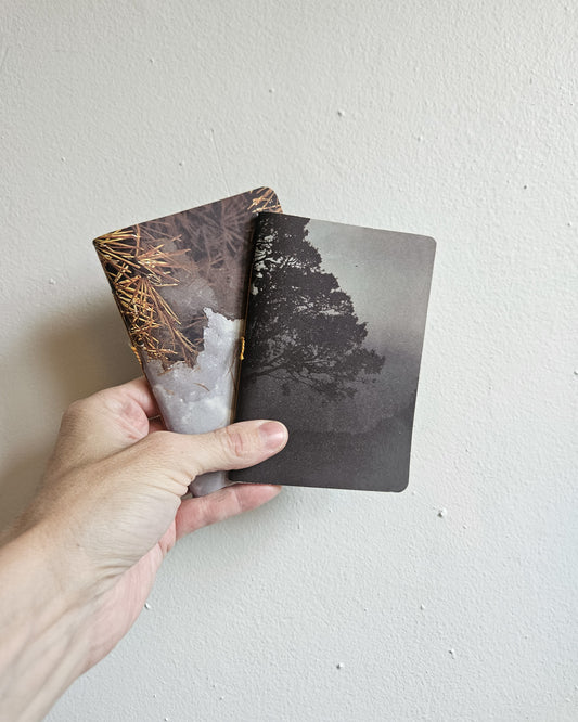 POCKET JOURNALS #1