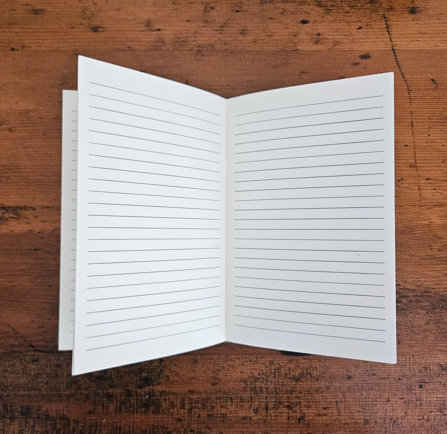 FLORAL ABUNDANCE JOURNAL