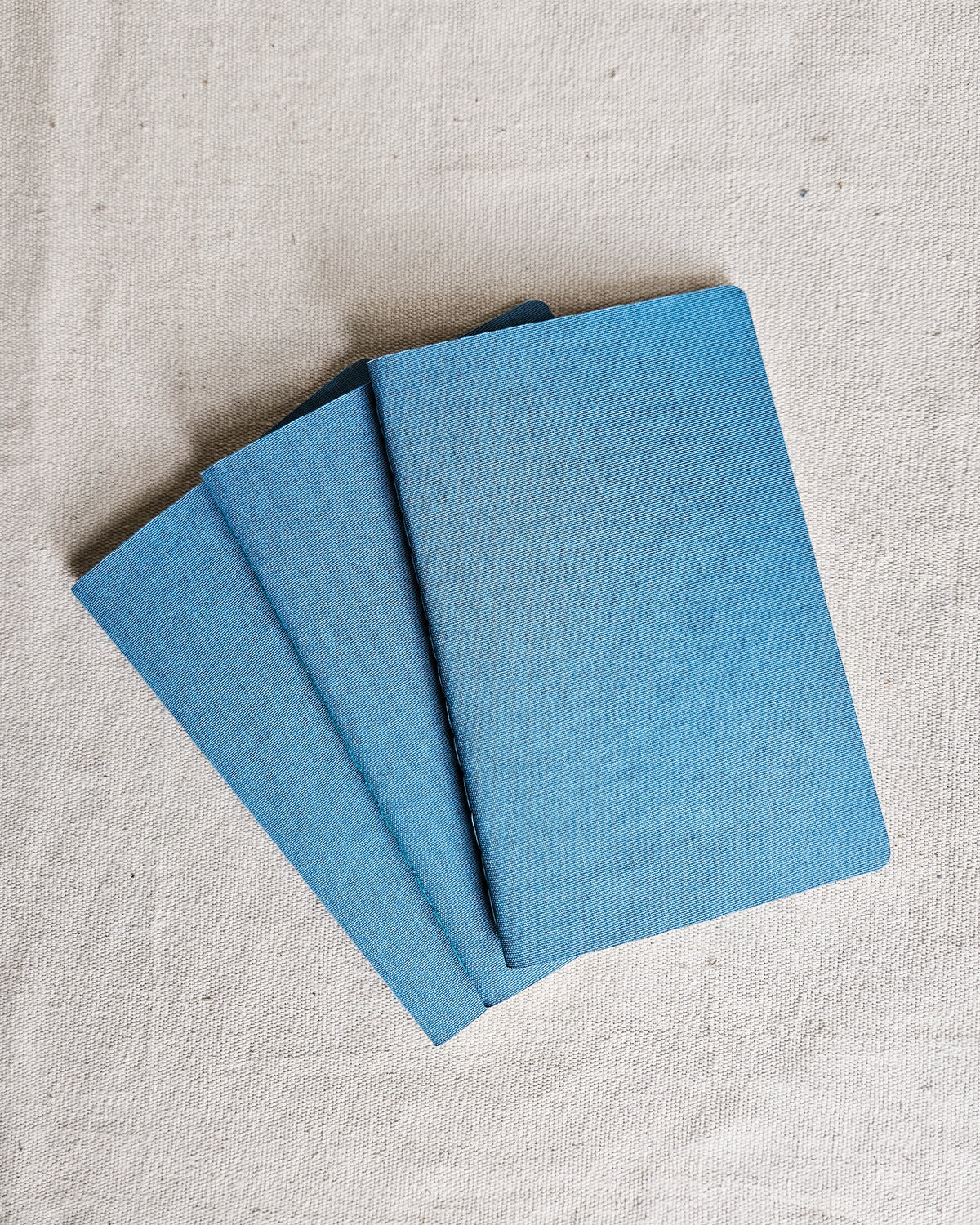 ROBIN BLUE JOURNAL