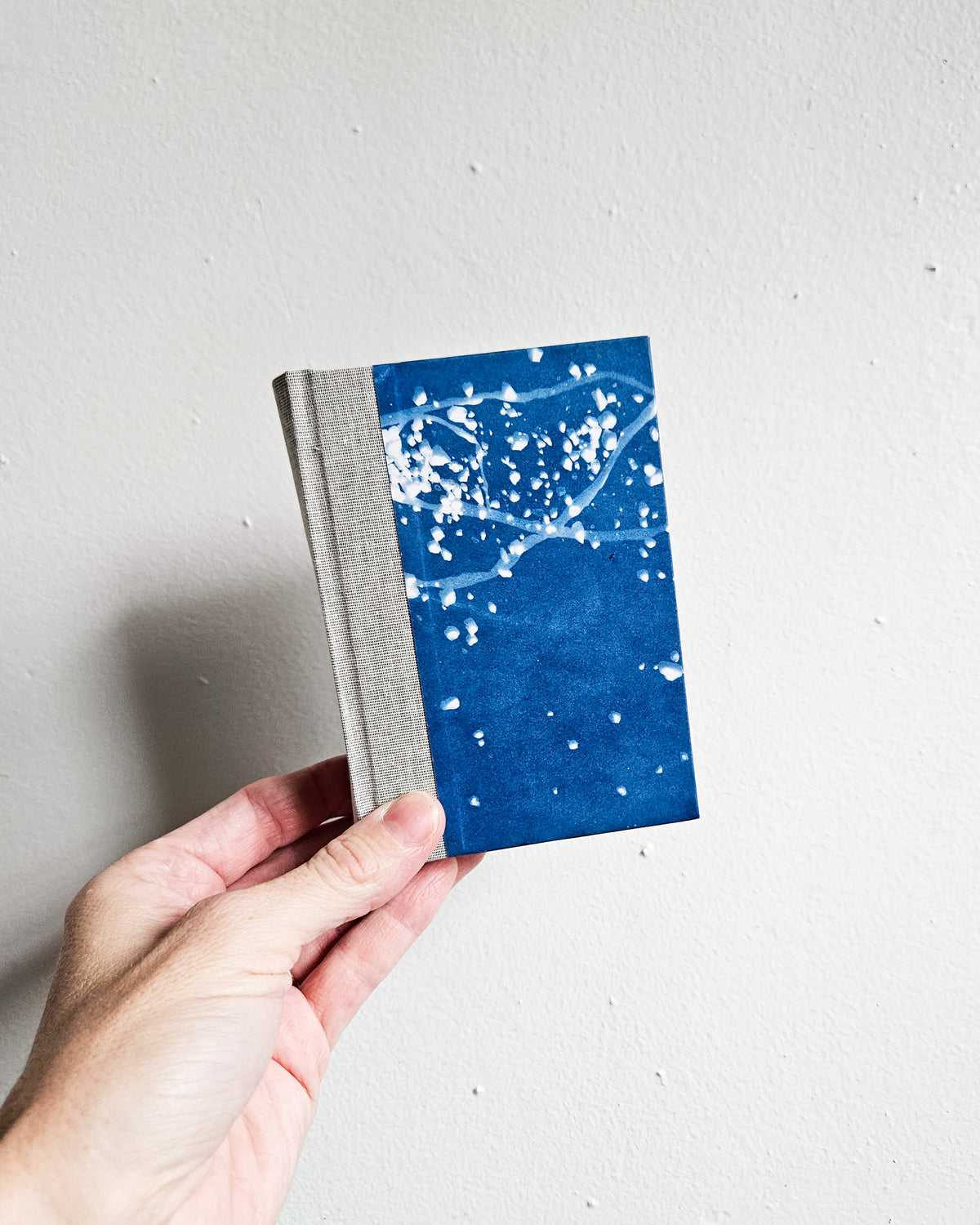 CYANOTYPE #2