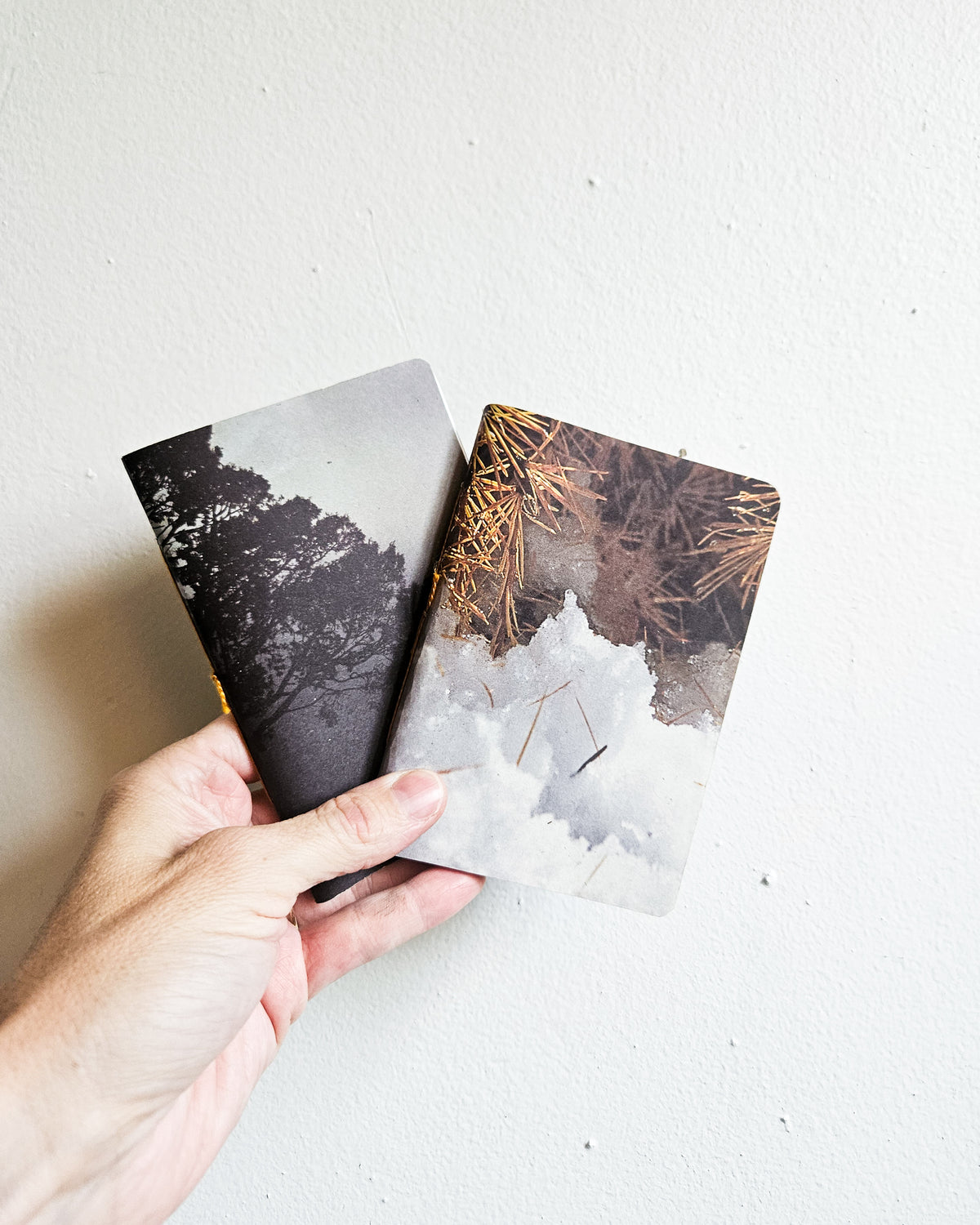 POCKET JOURNALS #1