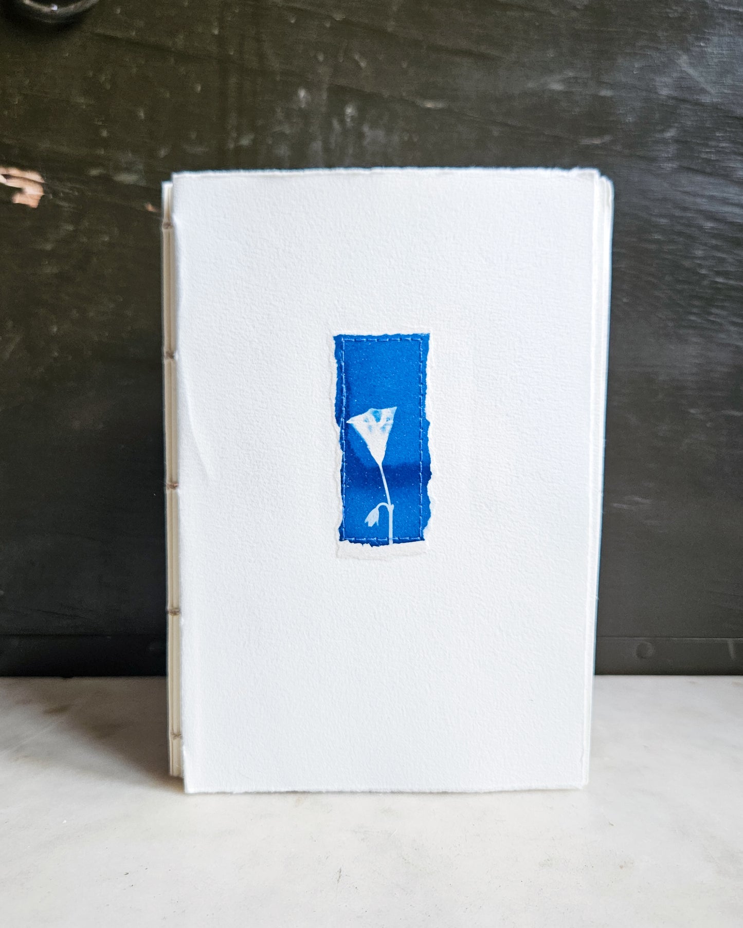 CYANOTYPE #3