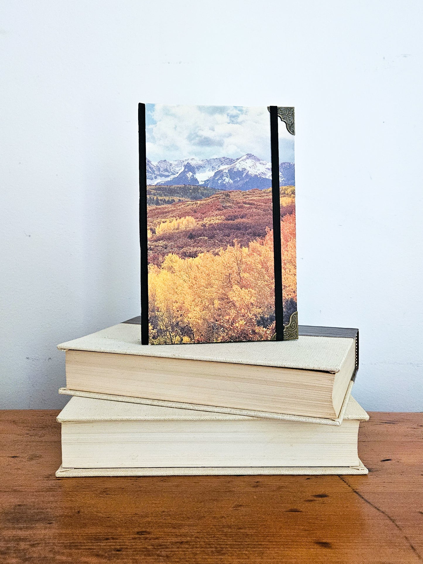 THROUGH THE ASPEN JOURNALS