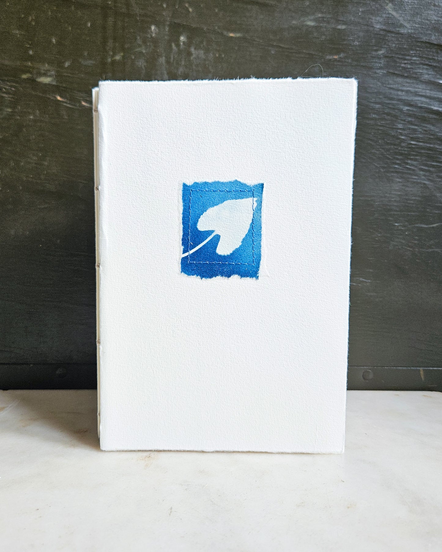 CYANOTYPE #8