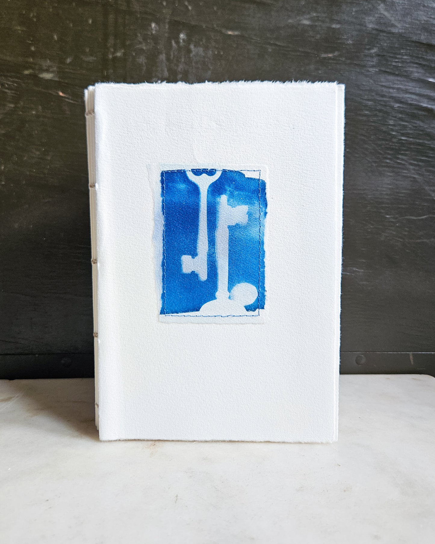 CYANOTYPE #10