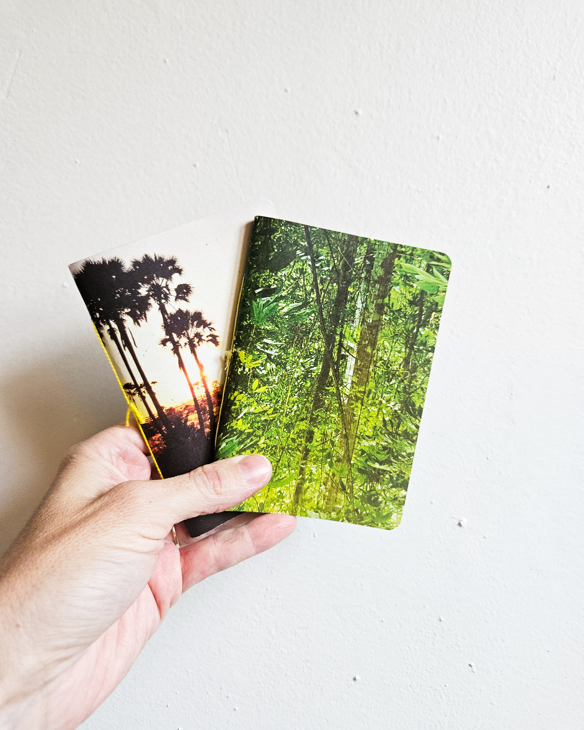 POCKET JOURNALS #2