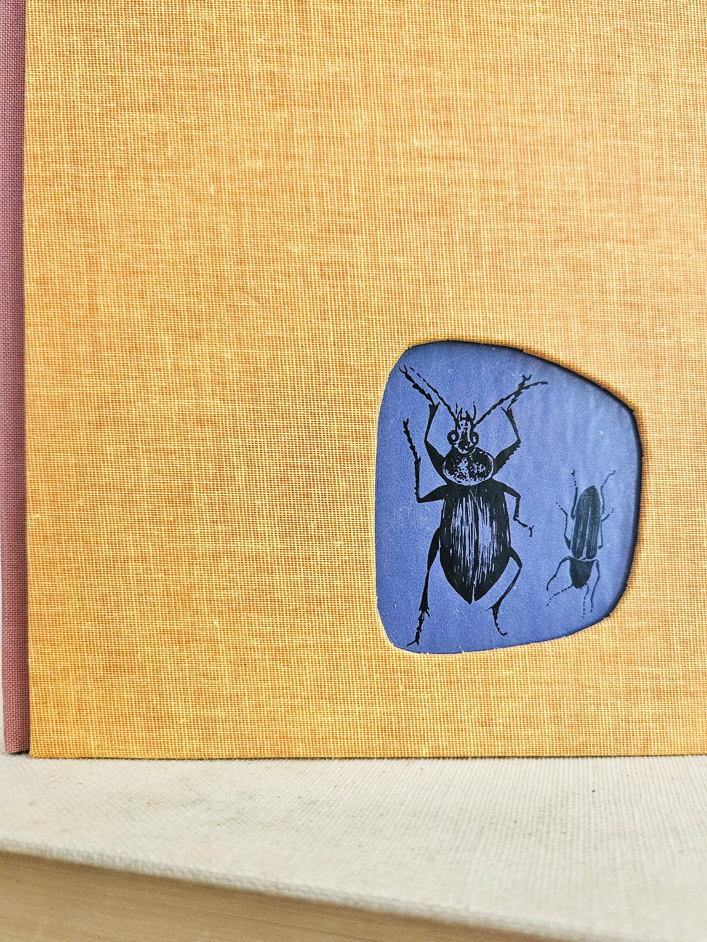 THE BEETLE AND HIS FRIEND