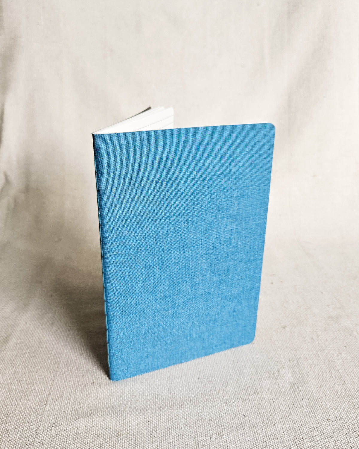 ROBIN BLUE JOURNAL