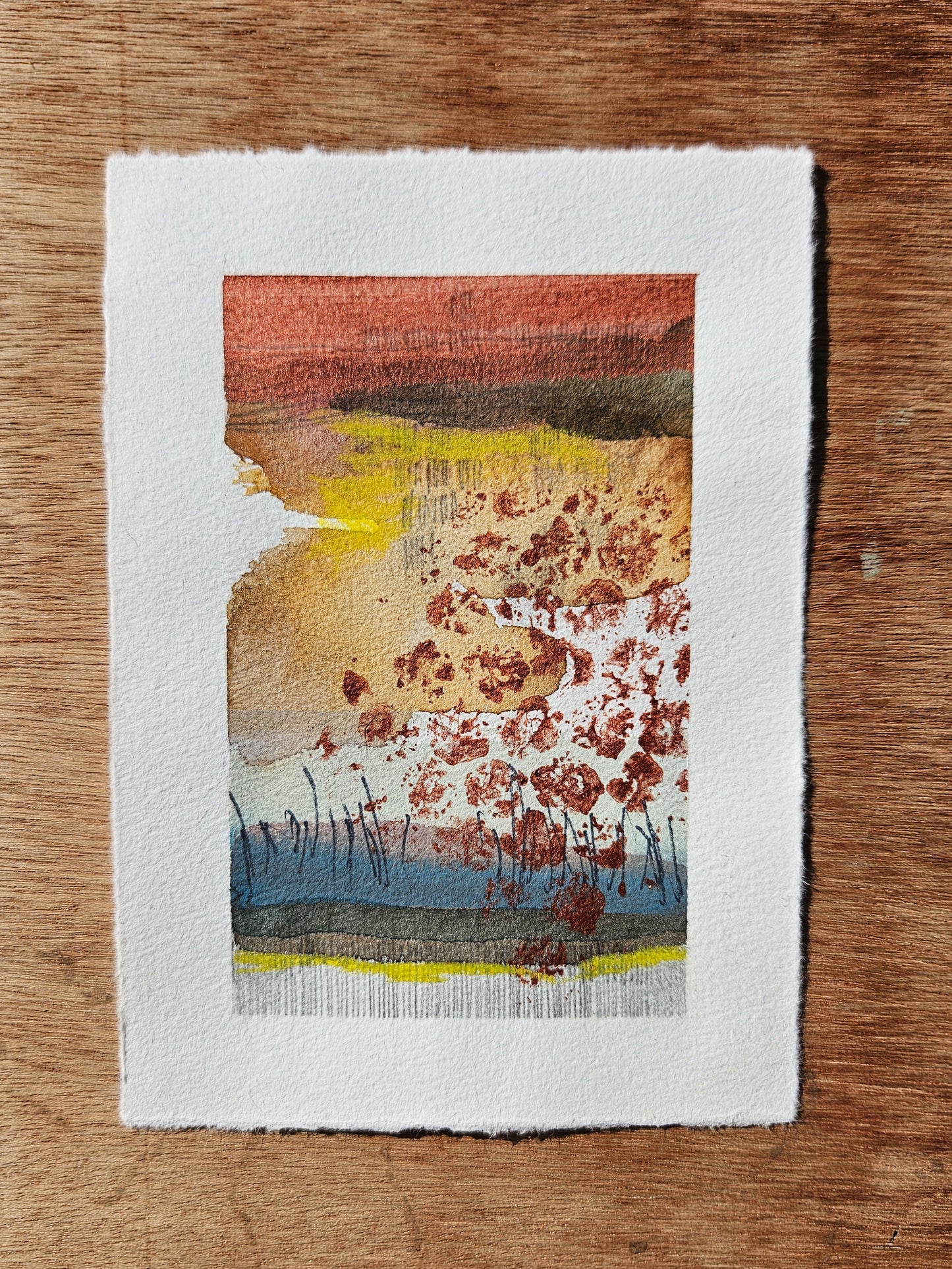 (NEW) EXPLORATIONS IN LEFT HANDEDNESS : ROUND 31