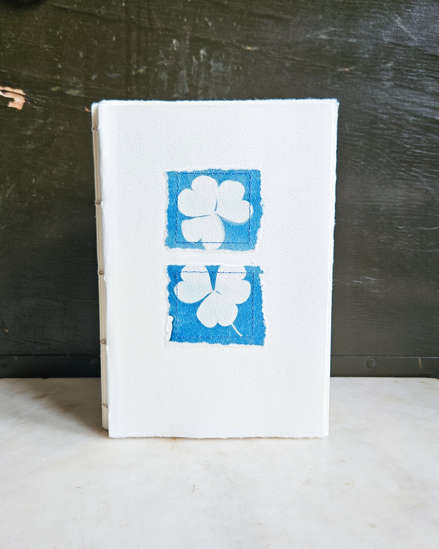 CYANOTYPE #9