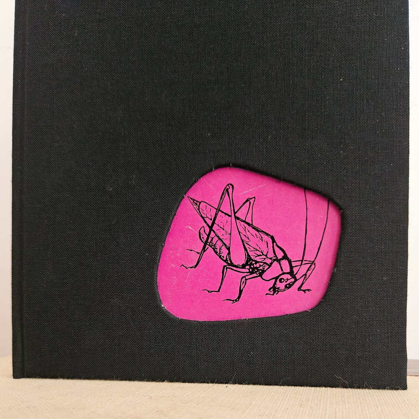 CRICKET'S TALE JOURNAL