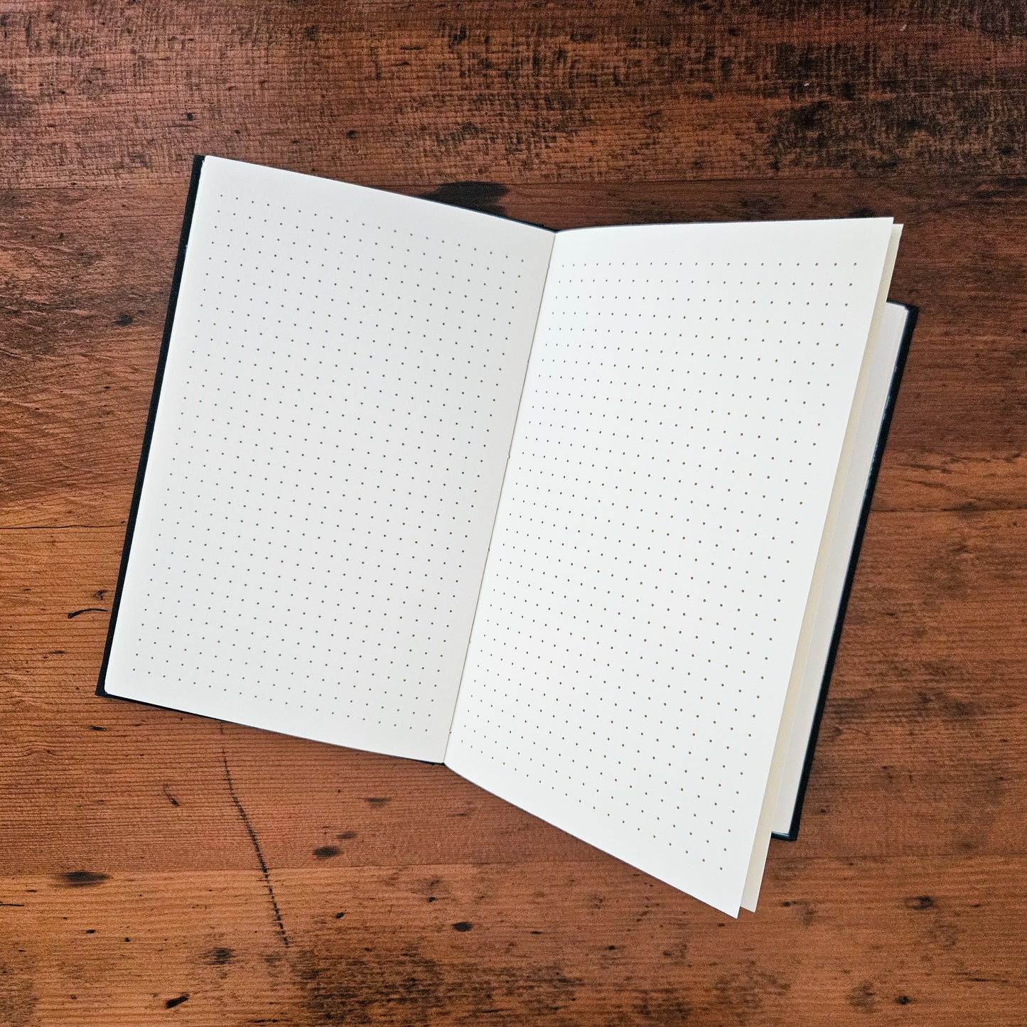 CRICKET'S TALE JOURNAL