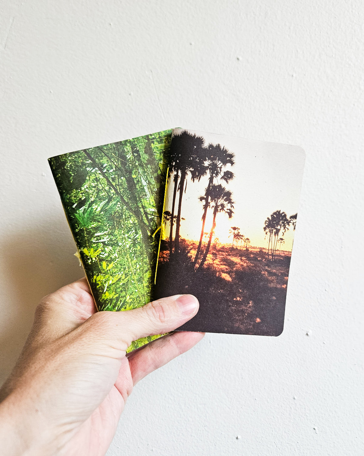 POCKET JOURNALS #2