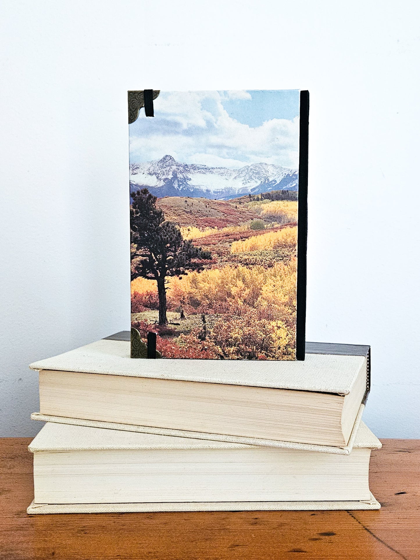 THROUGH THE ASPEN JOURNALS