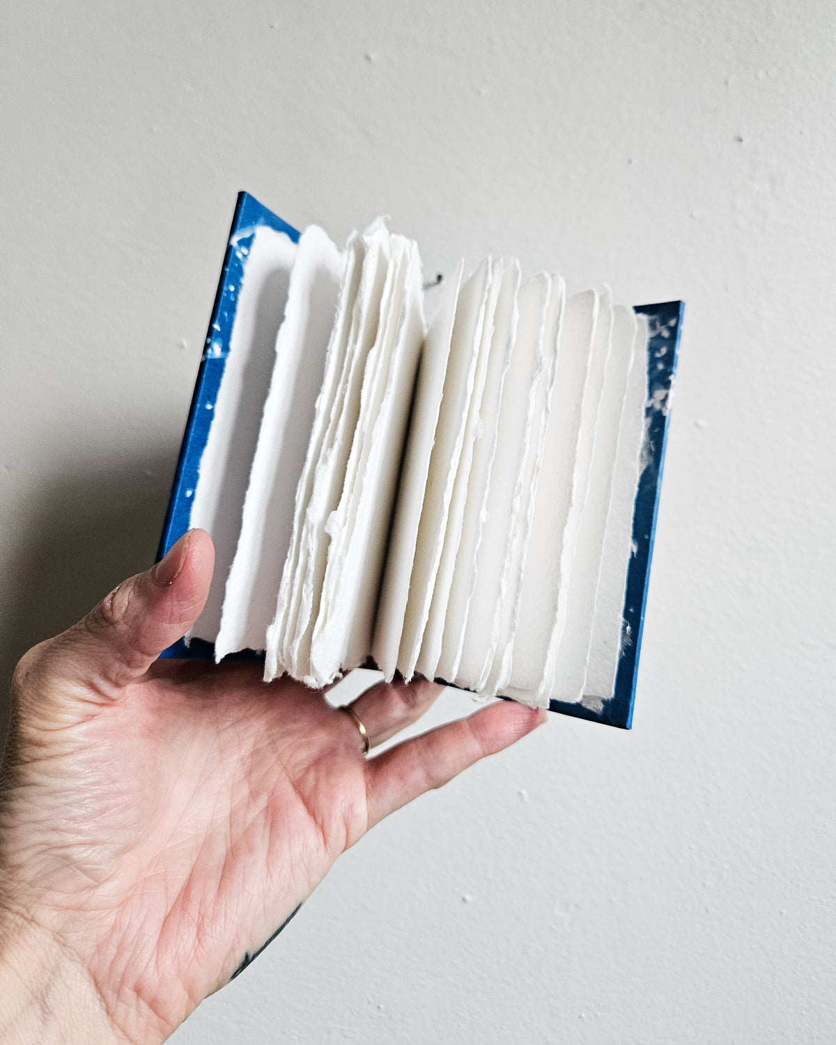 CYANOTYPE #2