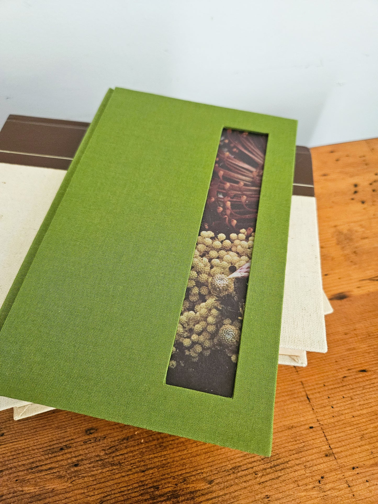 FLORAL ABUNDANCE JOURNAL