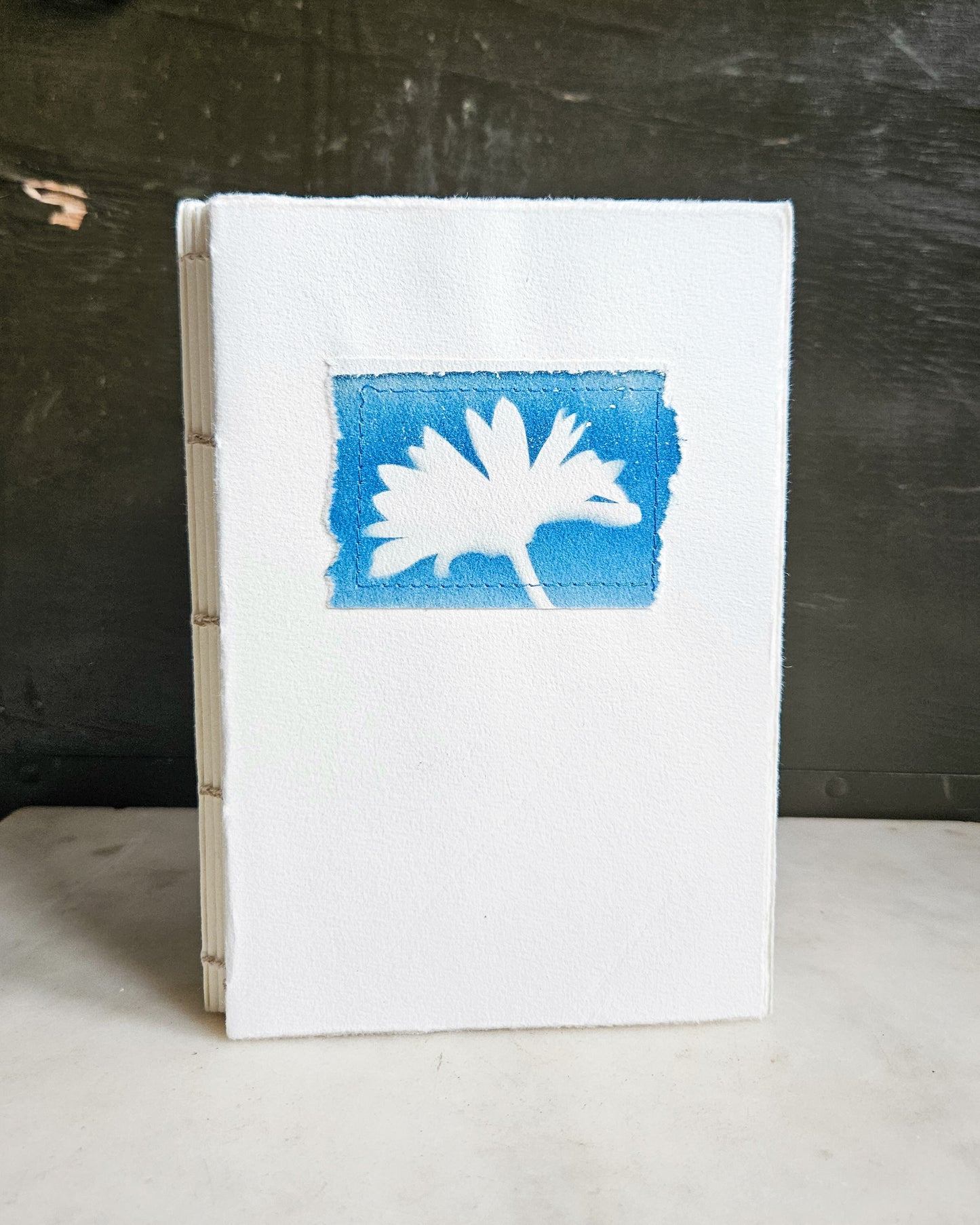 CYANOTYPE #2