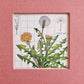 DANDELION JOURNAL