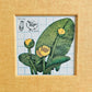 YELLOW POND LILY JOURNAL