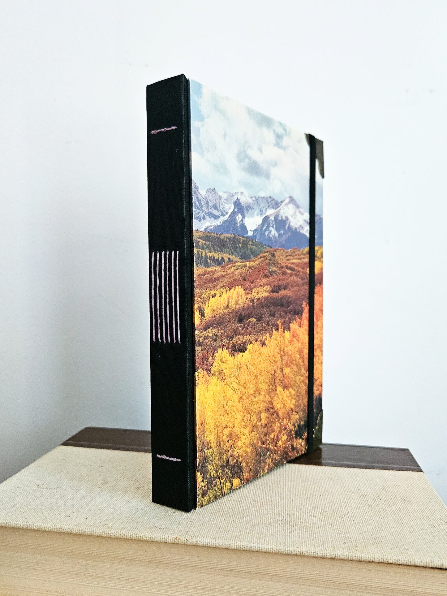 THROUGH THE ASPEN JOURNALS