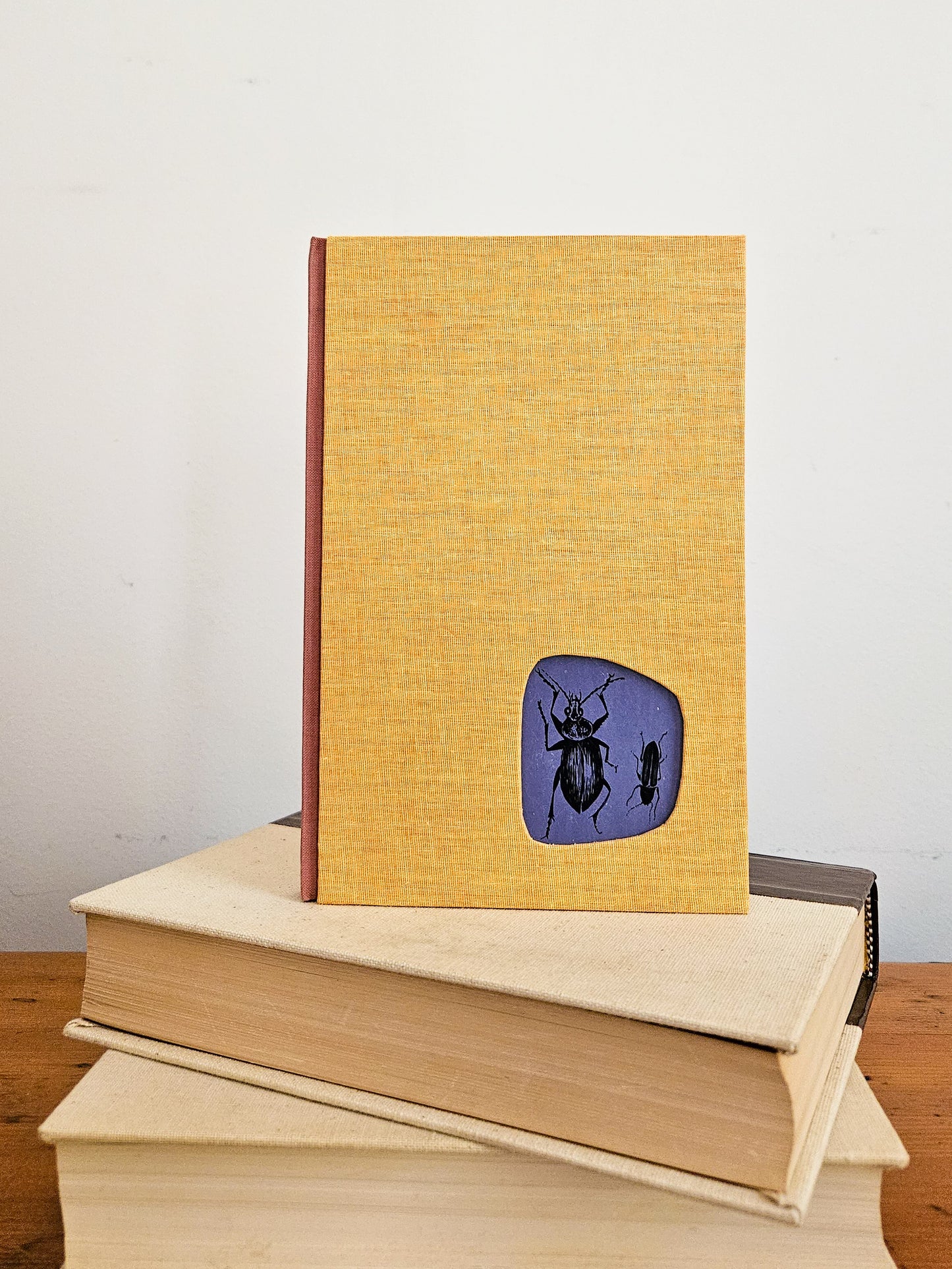 THE BEETLE AND HIS FRIEND