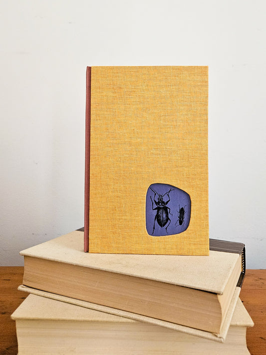 THE BEETLE AND HIS FRIEND